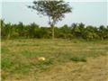 Single Image