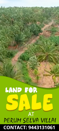 3 Acres Agricultural Land near Government Medical College - Nagercoil