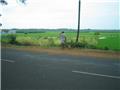 Single Image