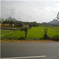 Single Image