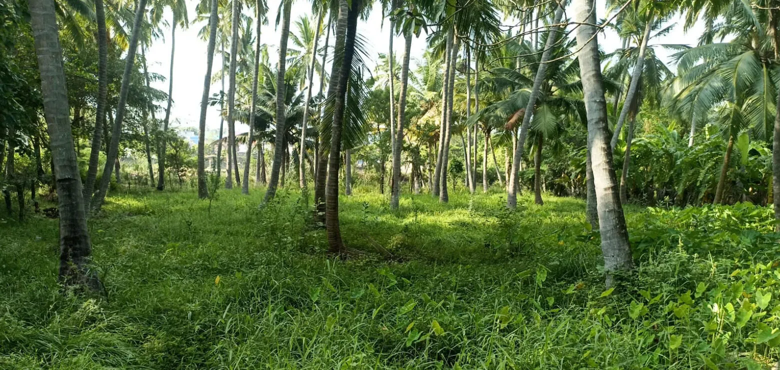 Land Property for sale Arockiapuram, Kanyakumari, Tamil Nadu